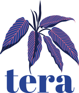 TeraClothes